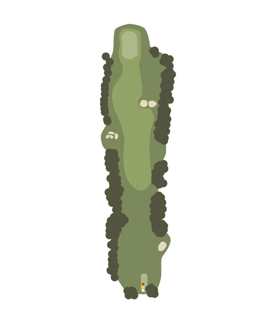 Hole 10 Map