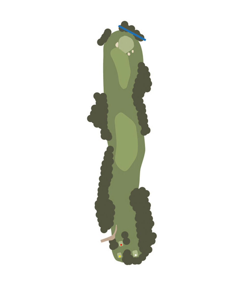 Hole 11 Map