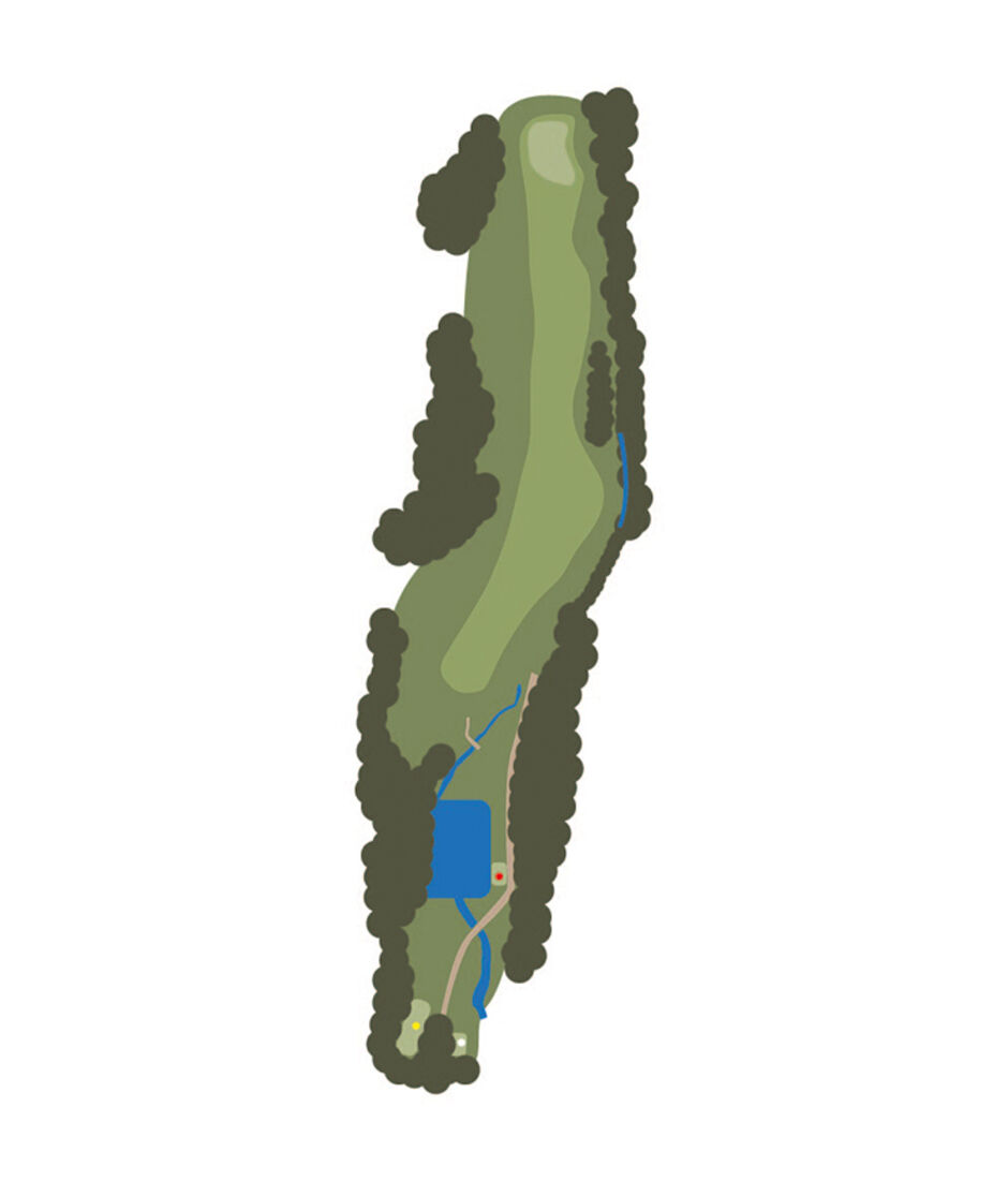 Hole 4 Map